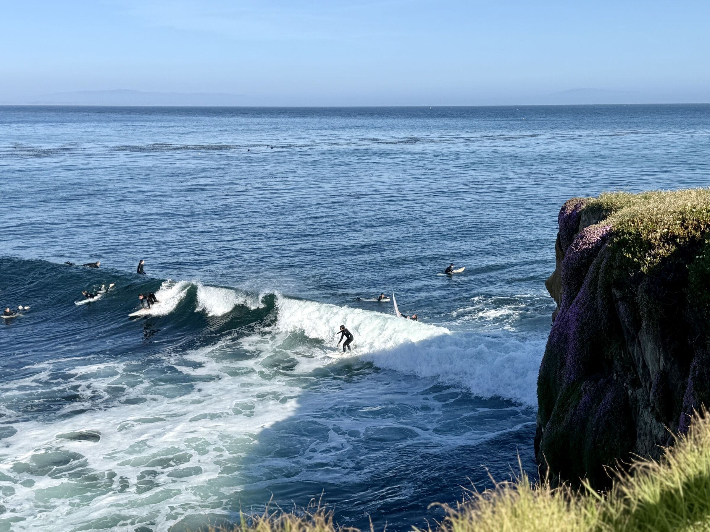 Surfer riding a wave below a flowering cliff in Santa Cruz
