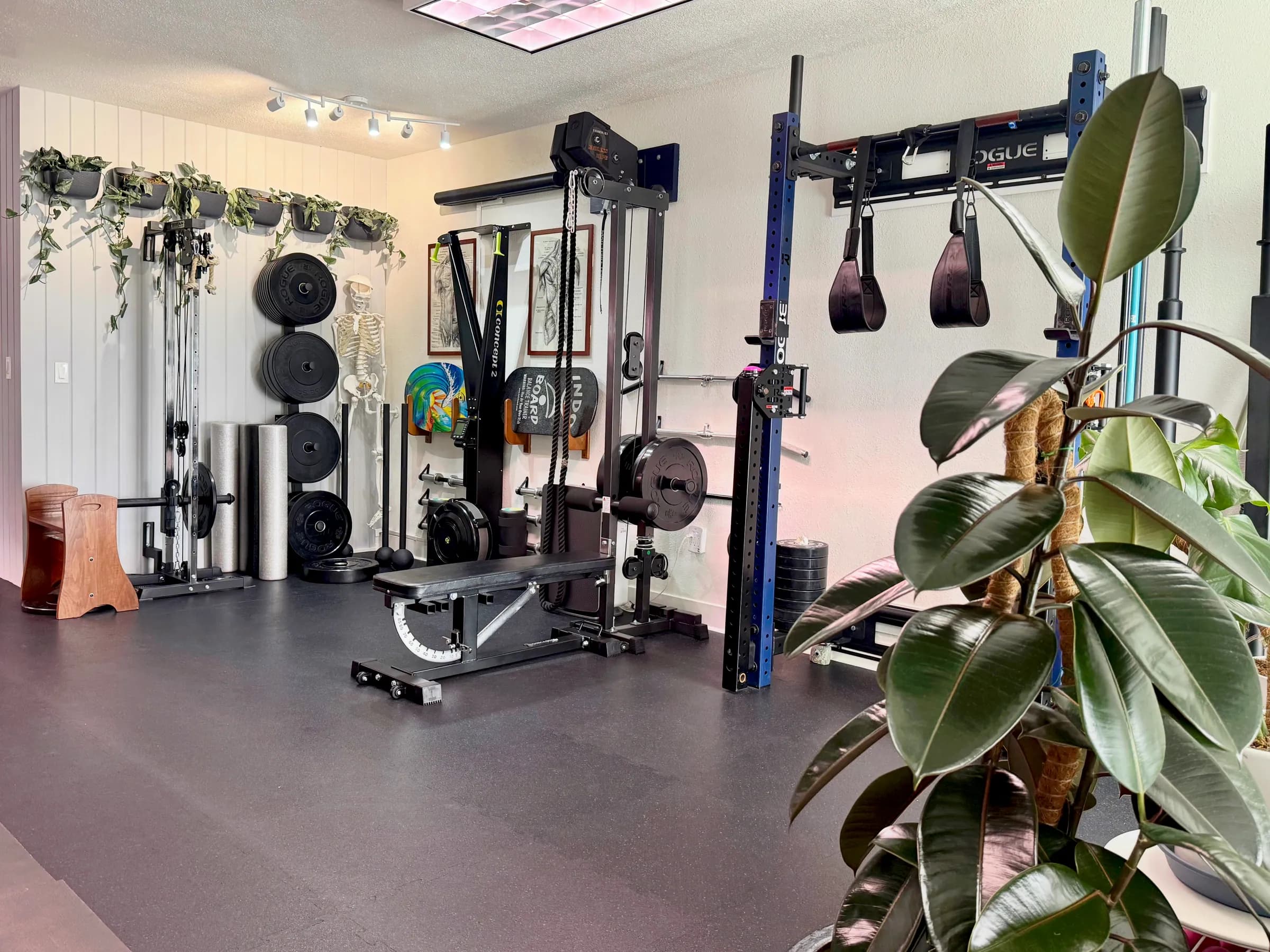 The Mavericks Fitness training floor: cable machine, adjustable bench, Rogue rack, and plants along the wall